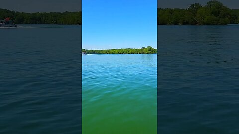Cruisin the Lake in 4K 60fps @UncleTimsFarm #kärnəvór #carnivore #shorts #hereford #freerangepigs