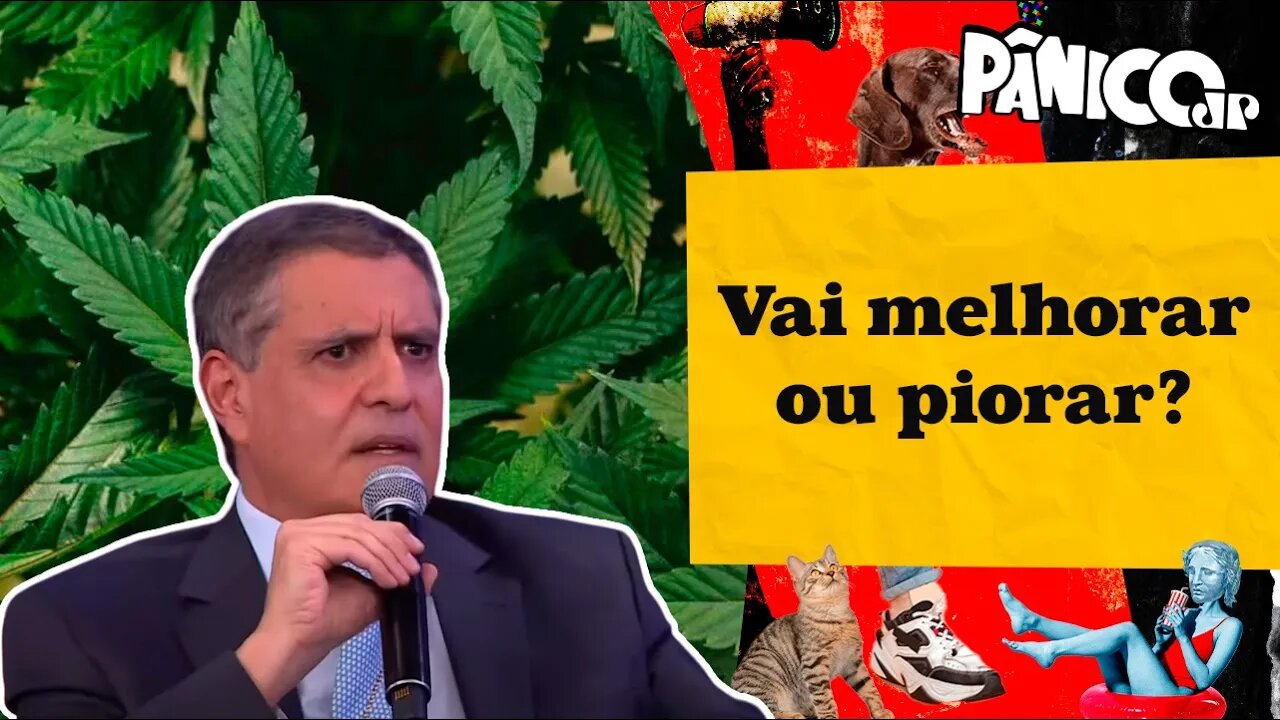 DELEGADO JAIR ORTIZ ALERTA PARA O QUE PODE ACONTECER COM A LIBERAÇÃO DE MACONHA