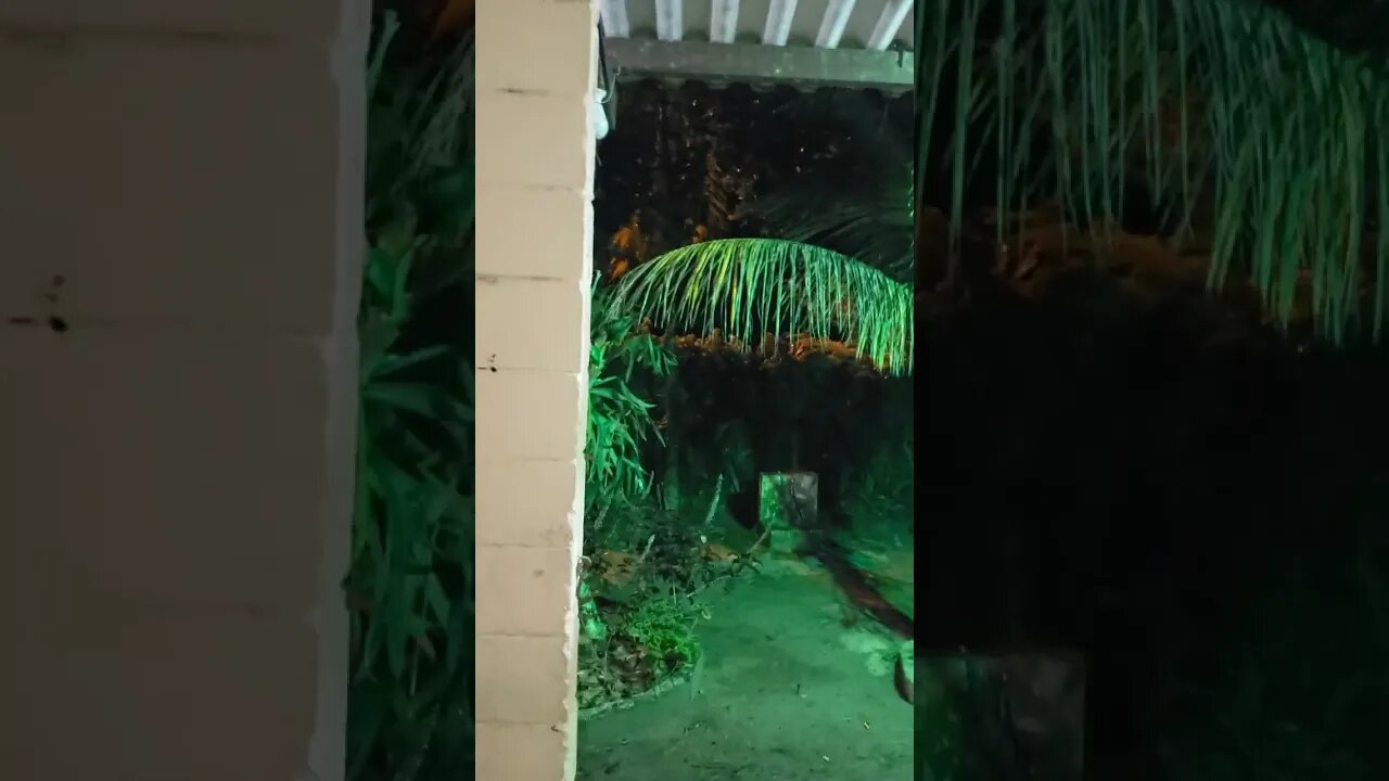 Chuvinha na Chácara