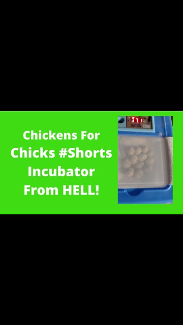 The Incubator From Hell #Shorts