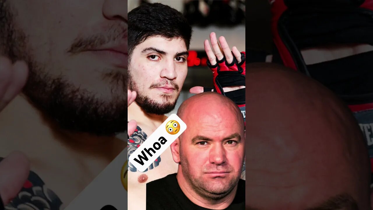 Dillon Danis to UFC? Dana White.. 😳 #dillondanis #danawhite #ufc