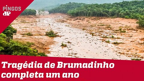 Tragédia de Brumadinho completa 1 ano