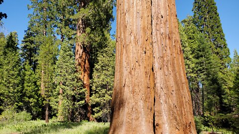 Sequoia National Monument is Open for Adventure