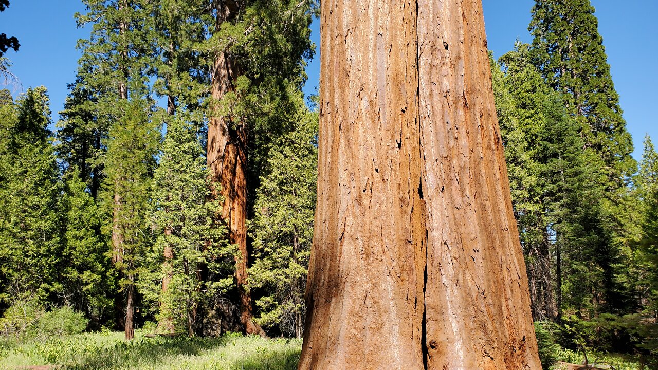 Sequoia National Monument is Open for Adventure