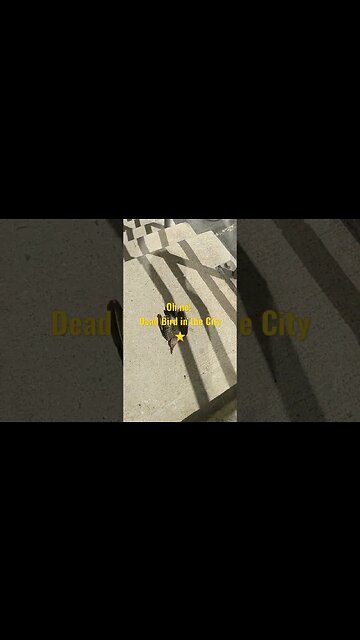 this is what i found walking down stairs on walnut st bridge to 24th st. 😔☹️💔