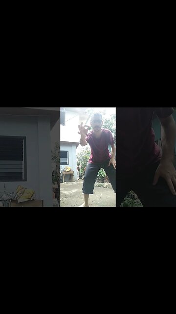 Tree Leaf Training Boxing Jkd Karate #boxing #jkd #karate