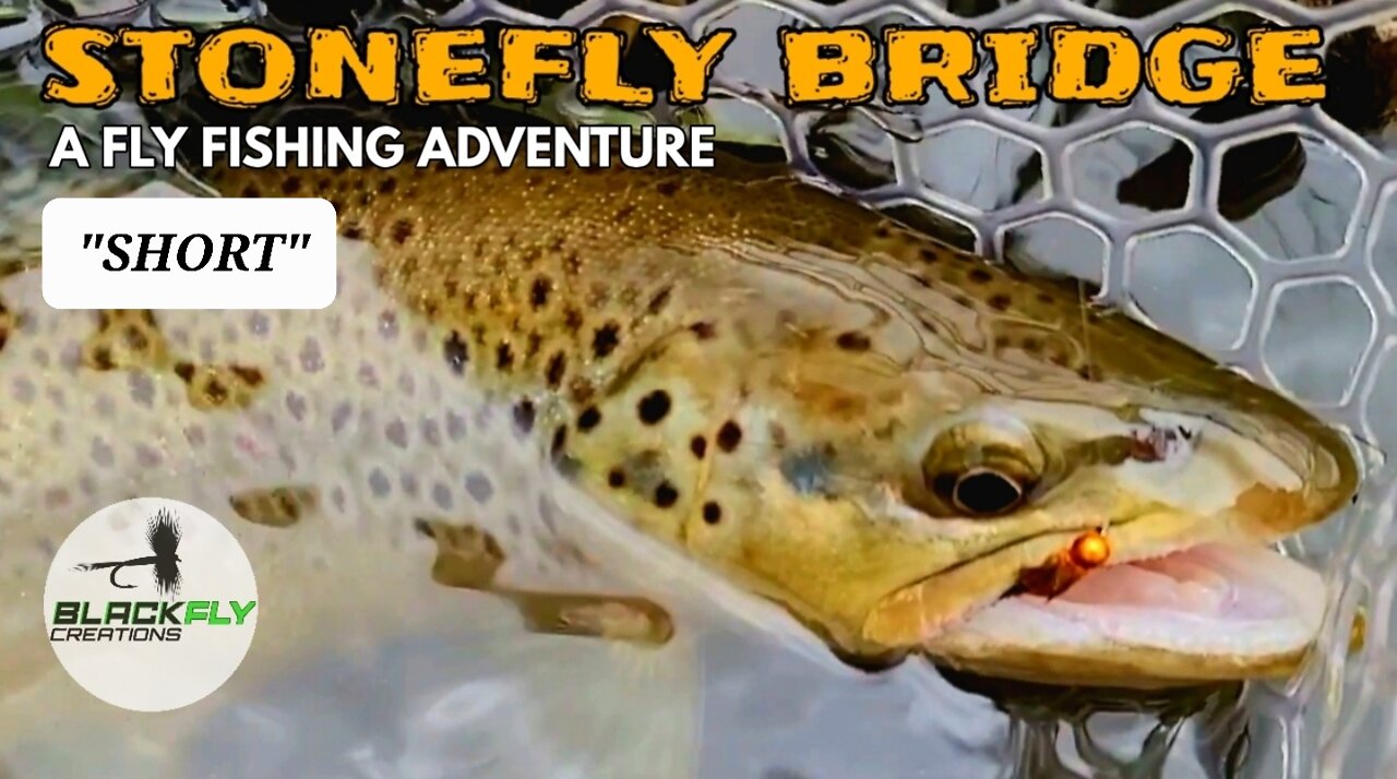 Euro Nymphing Fly Fishing A Magic Bridge (Short)