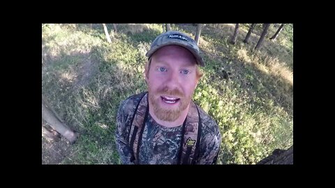 Iowa Archery Opener | Iowa Public Land