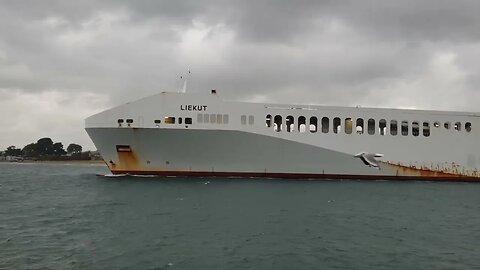 Liekut Sailing From Devonport Tasmania.