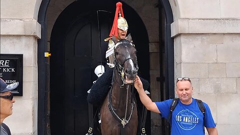 Tourist gives the thumbs-up guard shouts get back he holds the bit #horseguardsparade