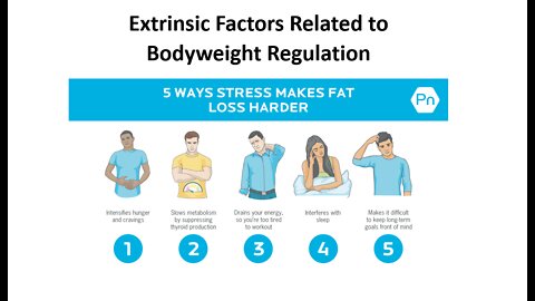 Weight Management 8 - Stress & Testing