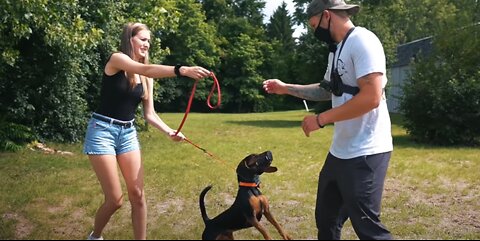 Dog attacks the Trainer