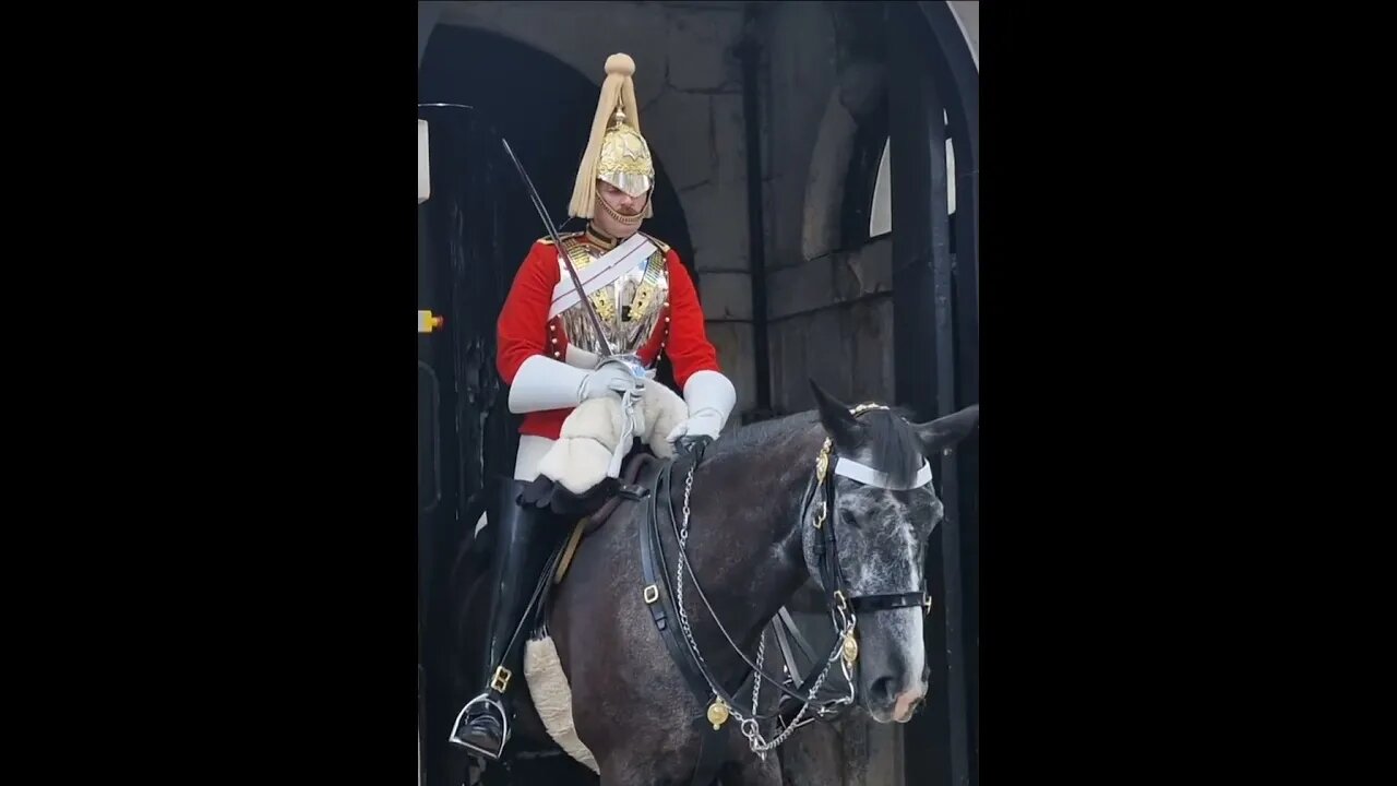 This is How the guard positions himself on the horse. when the horse needs to relieves its self