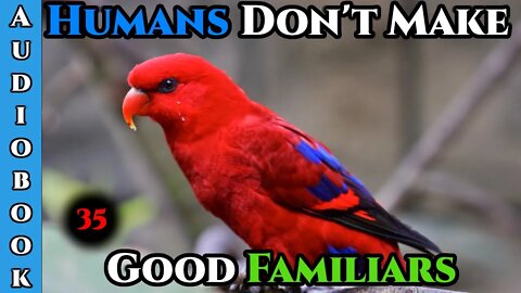 Humans Are CHAOS - Humans Don't make Good Familiars (Ongoing) - Ch.35 | HFY | Fantasy |