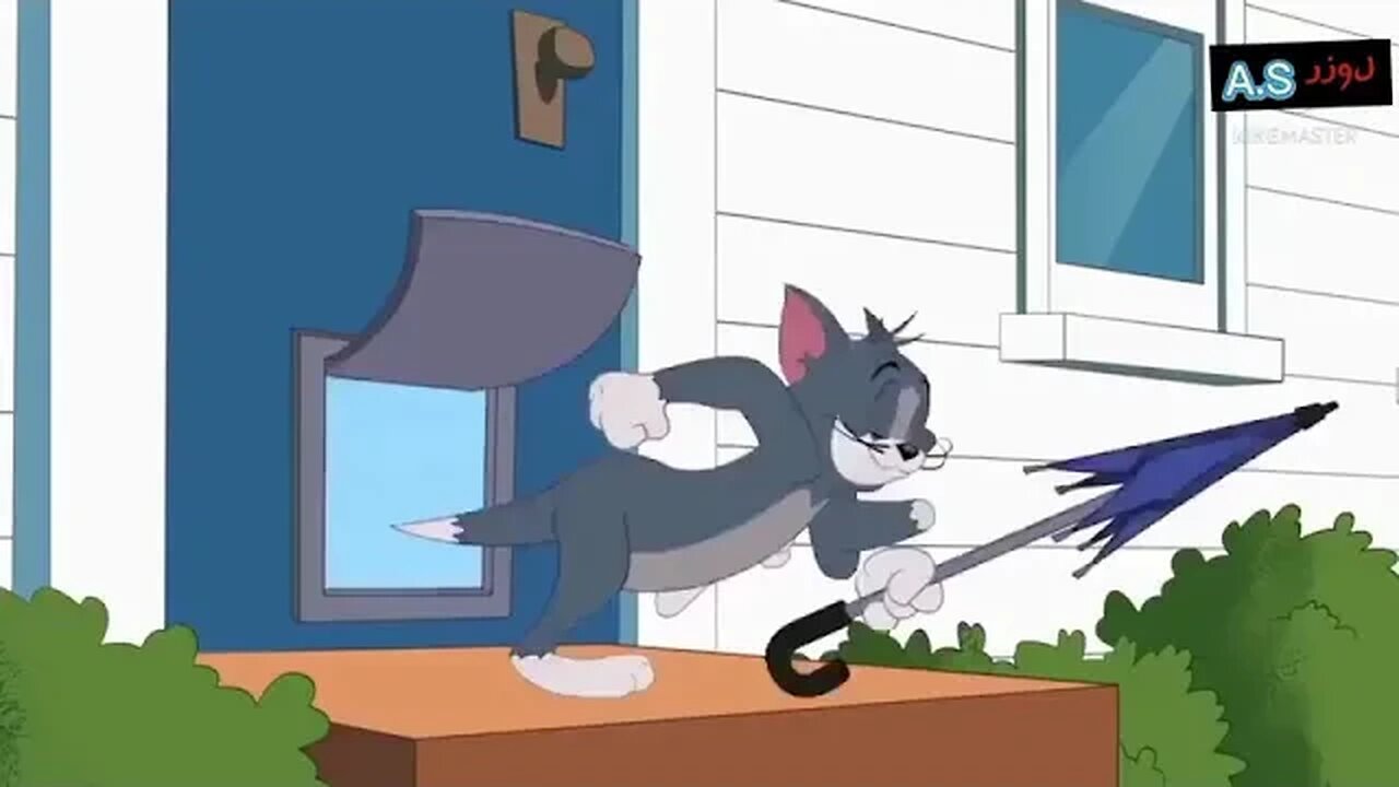 Tom and Jerry Funny Cartoon