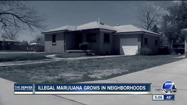 Colorado realtors resist DEA's idea of illegal grow house registry