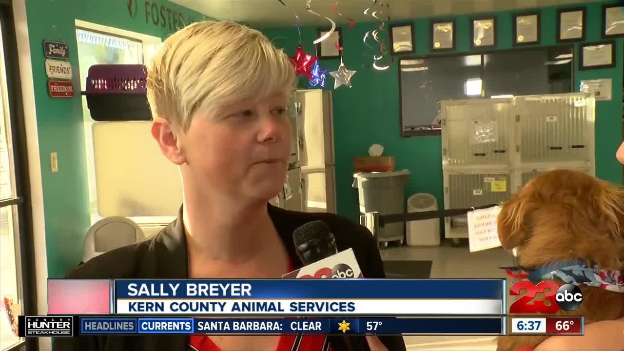 4 Days 4 Freedom Promotion at Kern County Animal Services