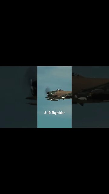 #aviationlover #warbird #airplane #airplanesdaily #generalaviation #warthunder #warbirds #flitetest