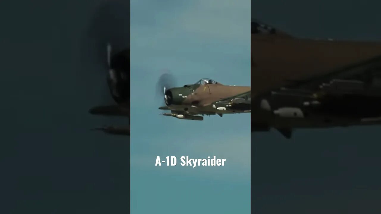 #aviationlover #warbird #airplane #airplanesdaily #generalaviation #warthunder #warbirds #flitetest