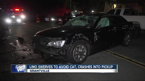 Limo crashes into vehicles after swerving to avoid cat