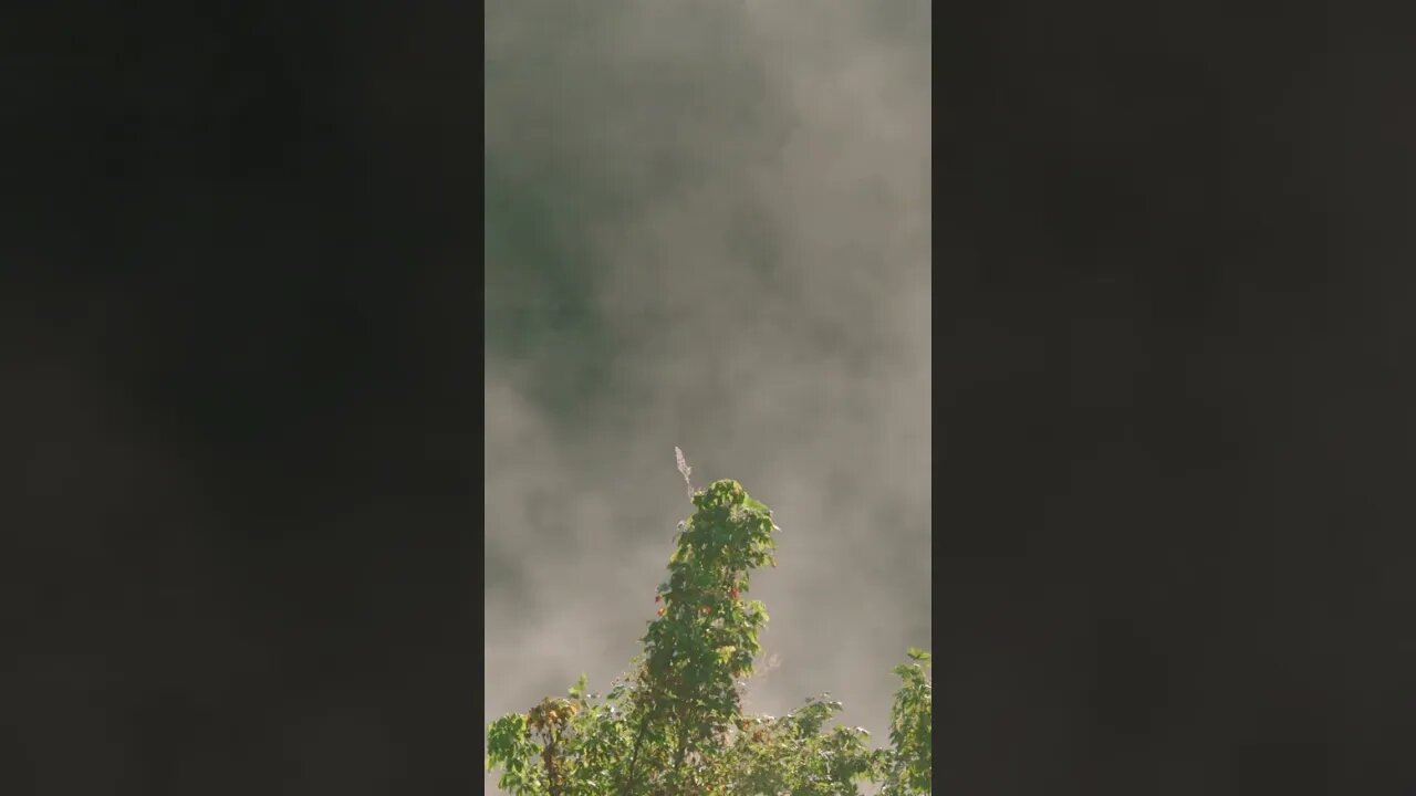Ascending Mist #shorts