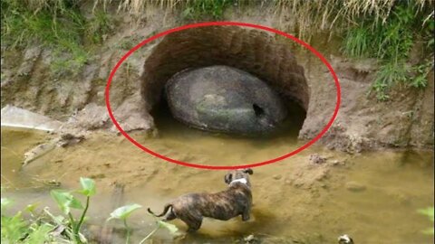 Farmer Uncovers A 3,400 Year Old Secret After Looking Through A Hole On His Land