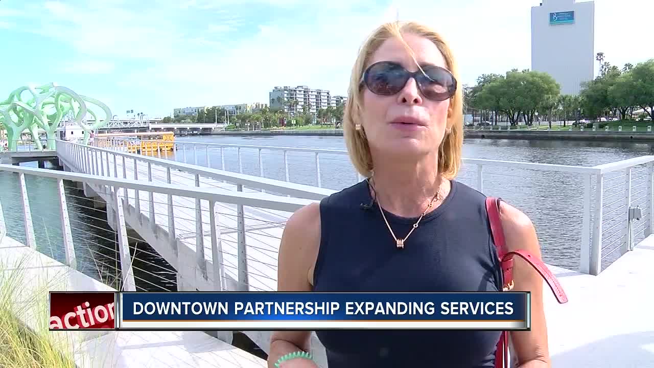 Downtown Tampa's Specials Services District is coming to Tampa Heights