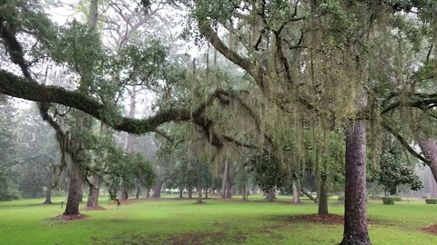 Paradise Park in the rain facing East - Thomasville, GA