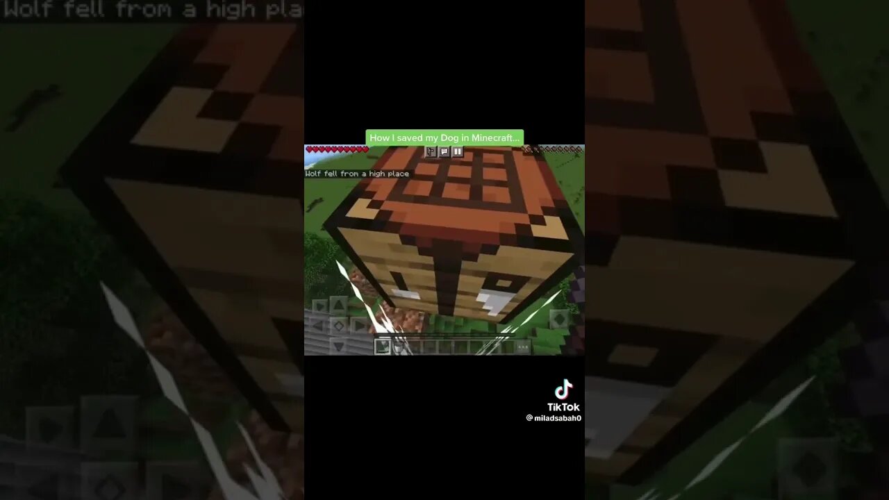 Im the best minecraft player in the world