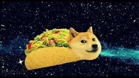 dogs