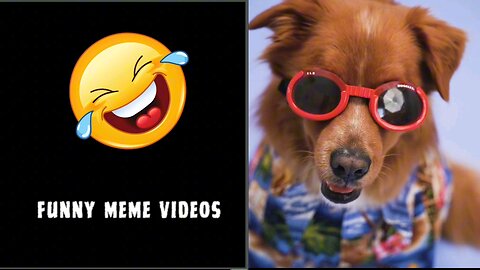 Funny Videos || Funny Memes