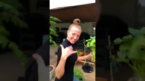 Jenny’s SUPER EXCITED ABOUT Sweet Potato Roots on her Slips! 🧑‍🌾🍠 #shorts #viral #tiktok