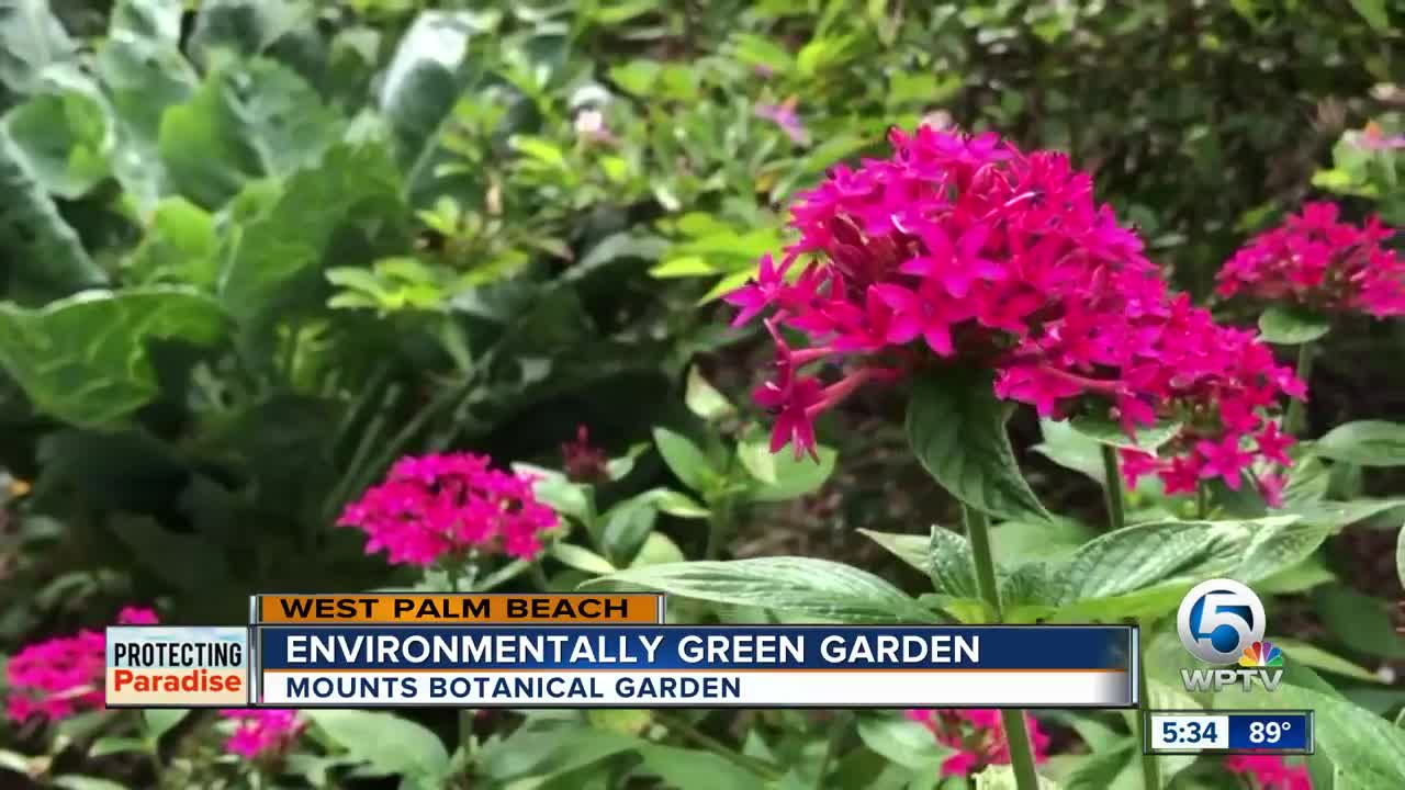 Environmentally green garden