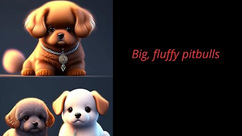 ✨Pitsenbulses✨