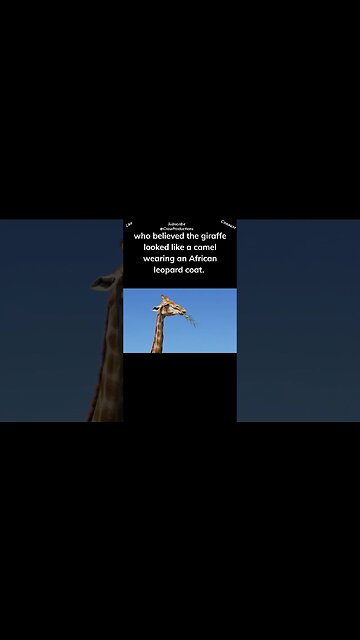 Unique facts about giraffes they are the Greek gods of the animal kingdom #giraffe #shorts