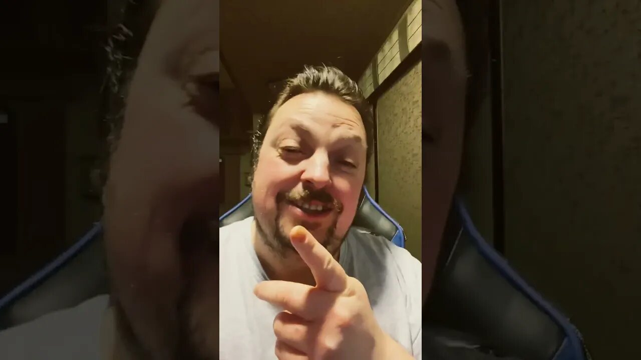 These Cats Don’t Like DVD’s 📀🤣