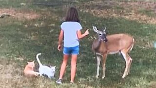 Cette petite Texane est une amie des animaux