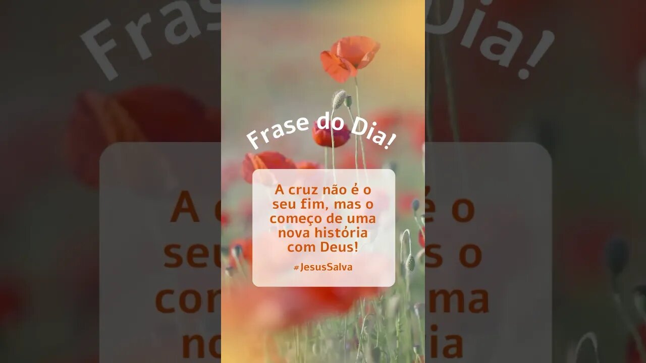 Frase do Dia Hoje