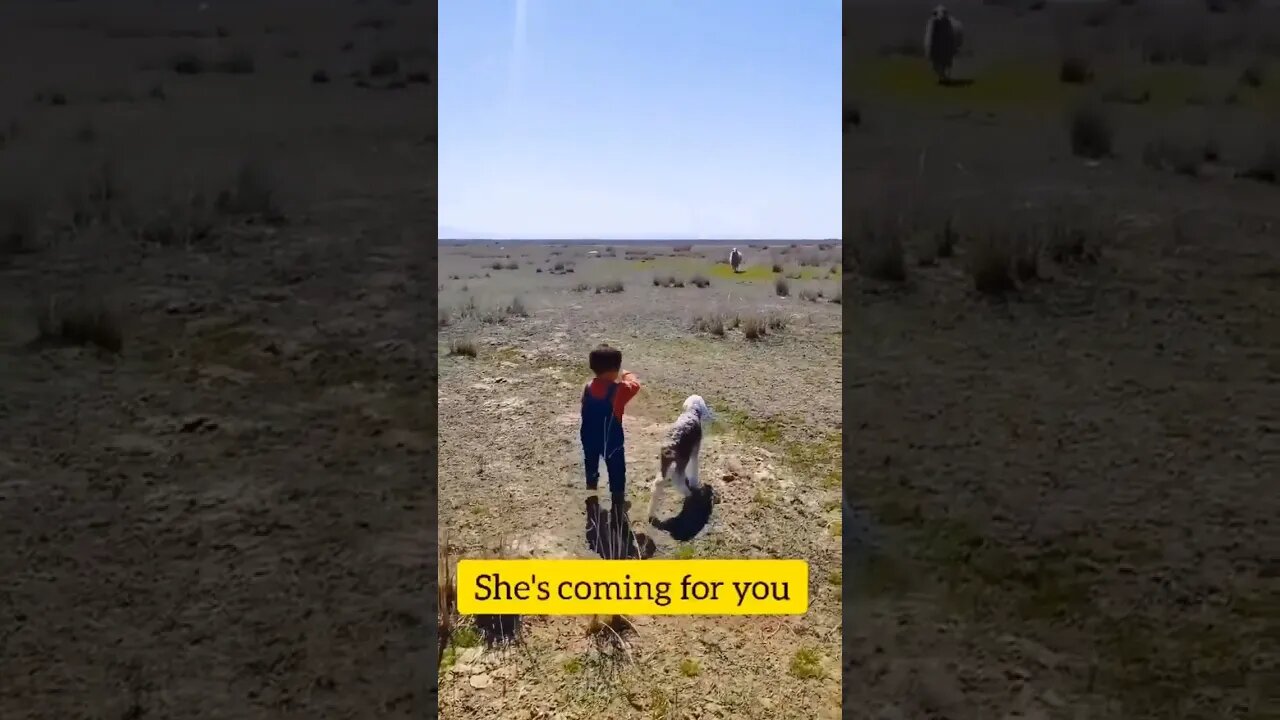 So precious.. 🥺 #shorts #animals #kids