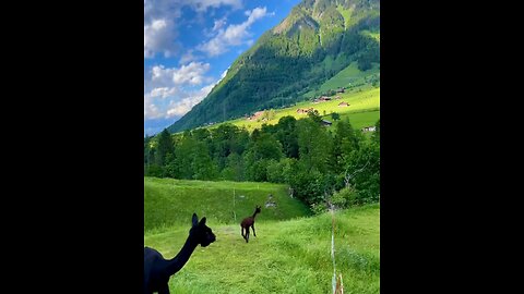 This is very beautiful please Switzerland