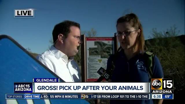 Pet waste creating health hazards in Arizona