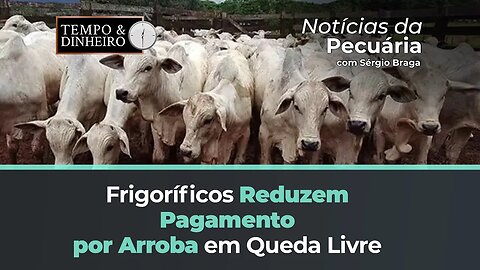 Boi gordo: frigoríficos testam e conseguem pagar menos pela arroba que já está no fundo do poço