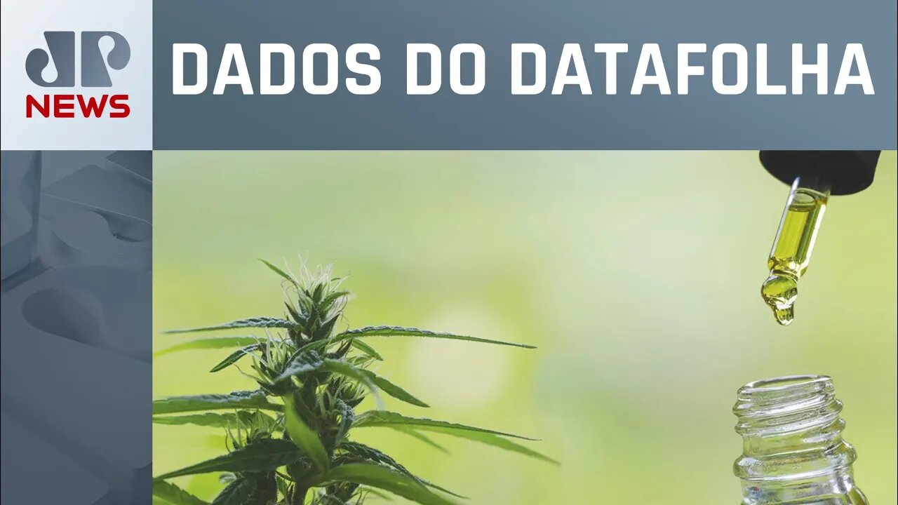 Pesquisa mostra que 72% dos brasileiros se dizem contra uso da maconha