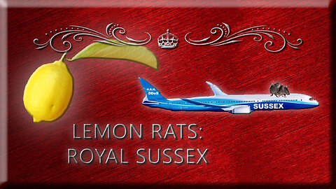 Lemon Rat: Royal Sussex