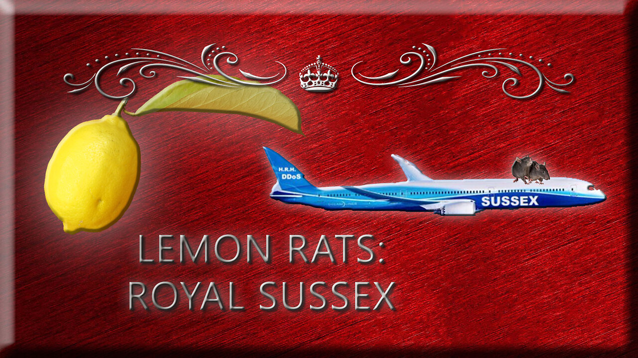 Lemon Rat: Royal Sussex