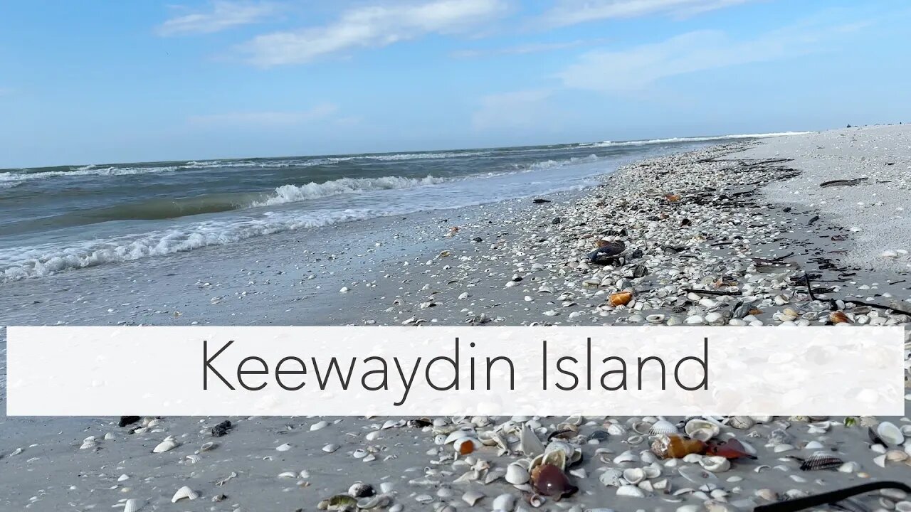 Hunting Florida Shells on an island. Virtual Shell Trip to Keewaydin Island.