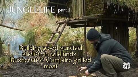 Building wood survival shelter in wildlands | Bushcraft & Campfire grilled meat 1