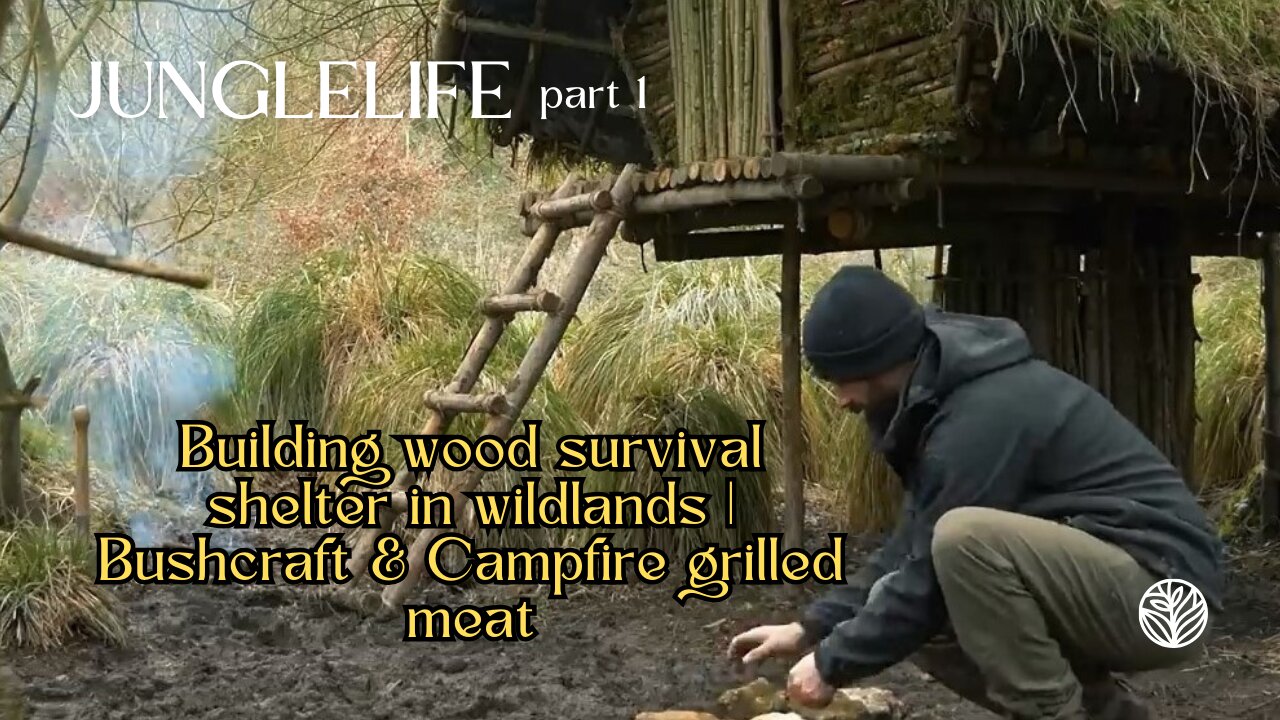 Building wood survival shelter in wildlands | Bushcraft & Campfire grilled meat 1