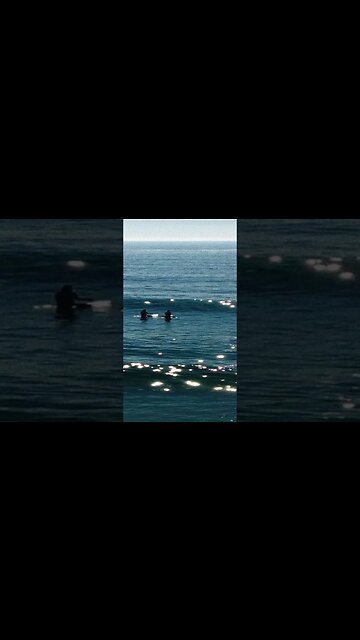 FREE Playboi Carti x Sample Type Beat #pierrebournetypebeat #playboicarti #sample