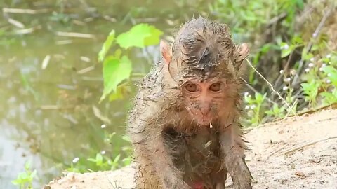 Oh My Goodness! baby kley rises from the ground to eat-6